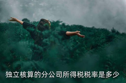 獨(dú)立核算的分公司如何納稅，誰知道獨(dú)立核算的同城分公司如何繳稅