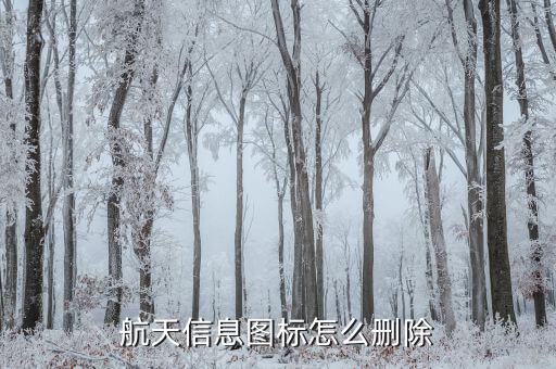 航天信息系統(tǒng)如何卸載，如何刪除系統(tǒng)信息