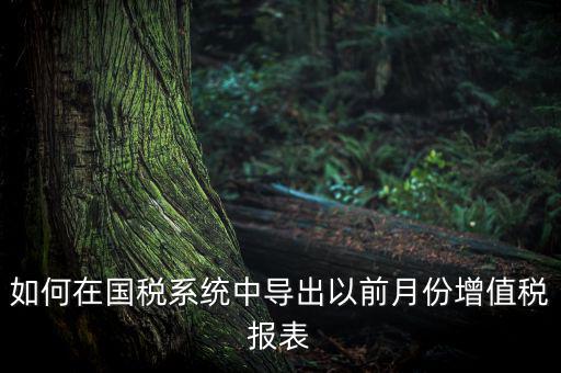 如何導(dǎo)出增值稅申報(bào)表，如何在國稅系統(tǒng)中導(dǎo)出以前月份增值稅報(bào)表