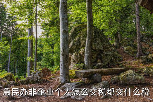 民非企業(yè)如何納稅申報，民辦非企業(yè)單位如何繳納個人所得稅