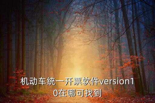 機動車統一開票軟件version10在哪可找到