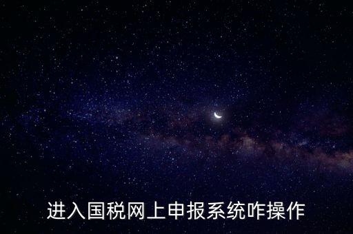 進(jìn)入國(guó)稅網(wǎng)上申報(bào)系統(tǒng)咋操作