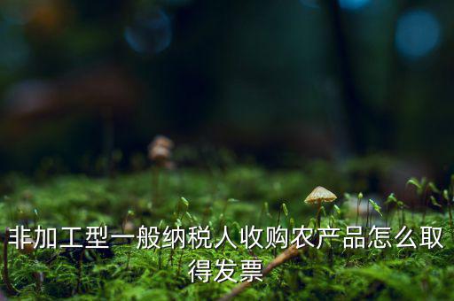 農(nóng)產(chǎn)品收購發(fā)票如何，農(nóng)產(chǎn)品收購發(fā)票如何開