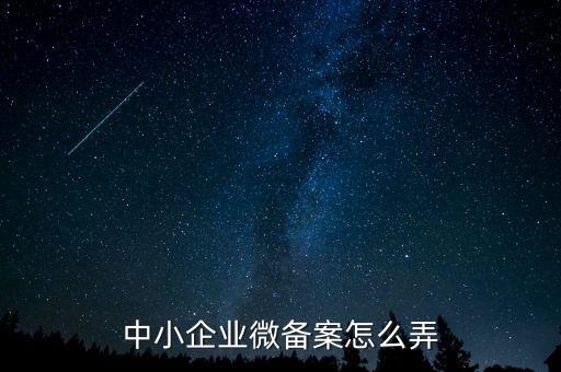 小型微型企業(yè)如何備案，小型微型企業(yè)登記備案