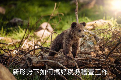 如何完善稅務(wù)一級(jí)稽查工作，新形勢(shì)下如何搞好稅務(wù)稽查工作