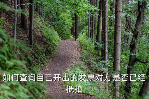 如何查詢已抵扣發(fā)票，怎么查詢開出的發(fā)票有沒有被抵扣