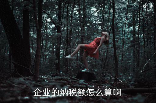 企業(yè)納稅如何計(jì)算，企業(yè)的納稅額怎么算啊