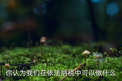 如何做到依法納稅，你認(rèn)為我們?cè)谝婪{稅中可以做什么