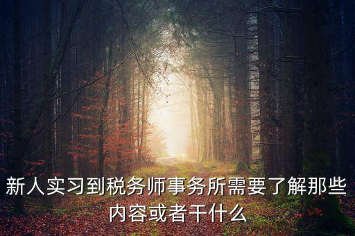 新人實習到稅務師事務所需要了解那些內容或者干什么