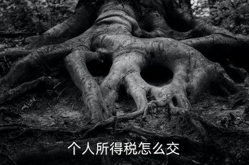 個(gè)人所得稅如何繳納，個(gè)人所得稅怎么繳納