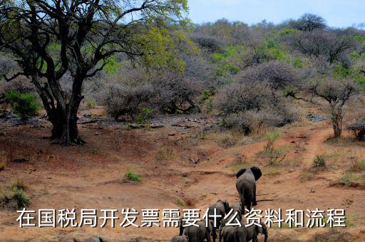 國稅局批票如何辦理，在國稅局開發(fā)票需要什么資料和流程