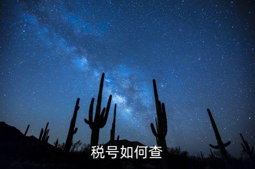 發(fā)票稅號(hào)如何查詢(xún)系統(tǒng)，開(kāi)發(fā)票不知道客戶(hù)的稅號(hào)應(yīng)該怎么查