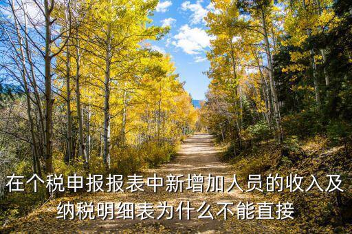 個(gè)稅申報(bào)如何增加新納稅人，在個(gè)稅申報(bào)報(bào)表中新增加人員的收入及納稅明細(xì)表為什么不能直接