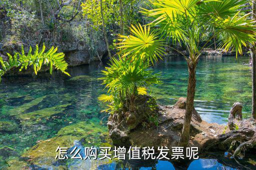 如何購(gòu)票發(fā)票，購(gòu)買(mǎi)發(fā)票怎么弄