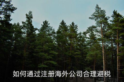 在境外注冊(cè)子公司如何避所得稅，離岸公司如何避個(gè)稅