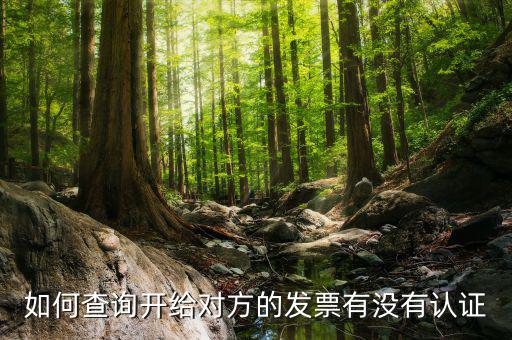 如何查詢發(fā)票認(rèn)證信息查詢，如何查詢開給對方的發(fā)票有沒有認(rèn)證