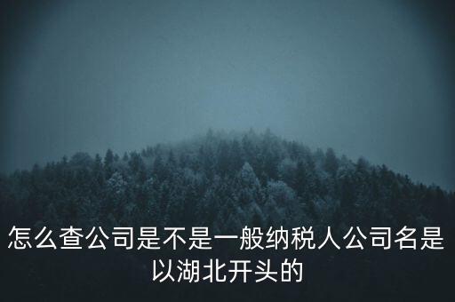 如何查詢企業(yè)是否是一般納稅人，怎么查公司是不是一般納稅人公司名是以湖北開頭的
