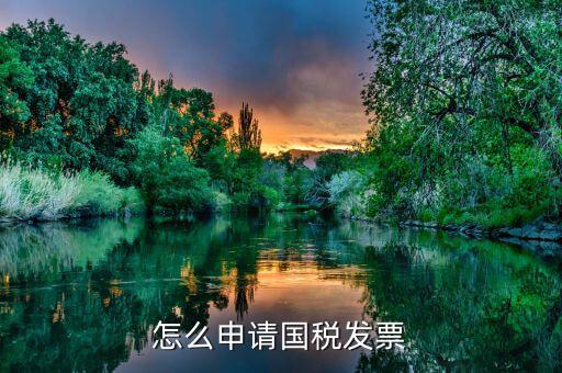 國稅如何申請發(fā)票，如何去國稅局開發(fā)票