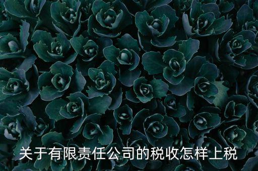 有限責(zé)任公司如何繳稅，有限責(zé)任公司是如何納稅的要繳納的稅種都有哪些