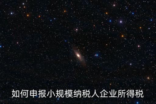 小規(guī)模納稅人如何報企業(yè)所得稅，如何申報小規(guī)模納稅人企業(yè)所得稅