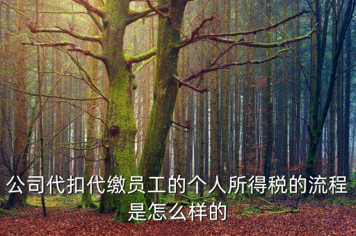 如何代扣代繳個人所得稅，代扣代繳個人所得稅