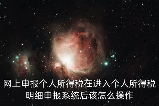 網上申報個人所得稅在進入個人所得稅明細申報系統(tǒng)后該怎么操作
