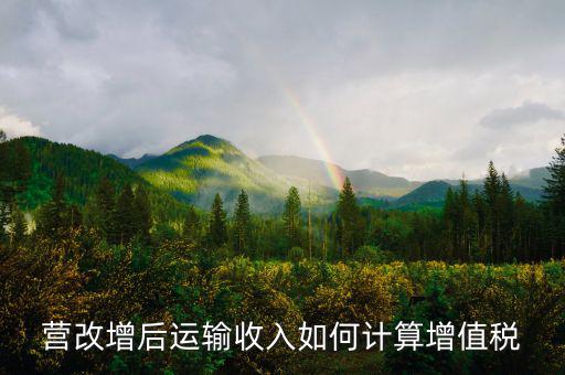 運輸業(yè)增值稅如何計算，道路運輸業(yè)的一般納稅人增值稅如何計算