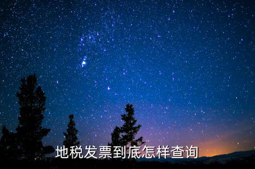 如何查詢發(fā)票地址，如何能查到增值稅發(fā)票是什么地方開的