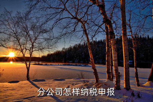 如何申報分公司所得稅，分公司的所得稅怎么報