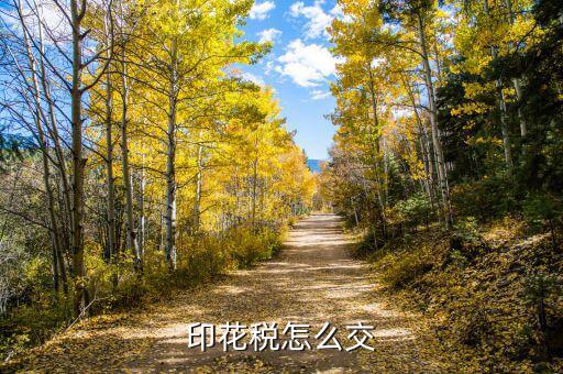 如何開印花稅，印花稅怎么交