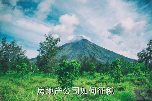 房地產(chǎn)企業(yè)如何繳納房產(chǎn)稅，房地產(chǎn)企業(yè)開發(fā)的商品房如何繳納房產(chǎn)稅