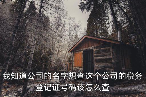 如何查詢稅務(wù)登記證號(hào)碼，稅務(wù)登記號(hào)查詢