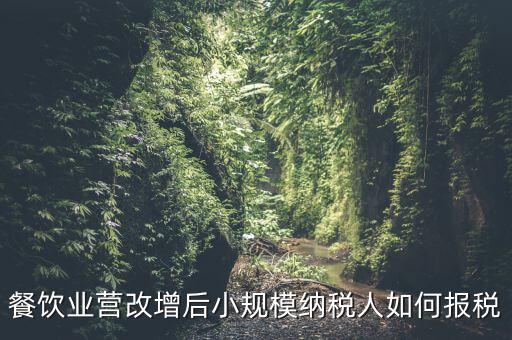 營改增后小規(guī)模納稅人如何報(bào)稅，營改增后小規(guī)模的怎么報(bào)稅