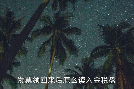 稅稅通申領(lǐng)的發(fā)票如何讀入，電子發(fā)票申領(lǐng)成功后怎么讀入