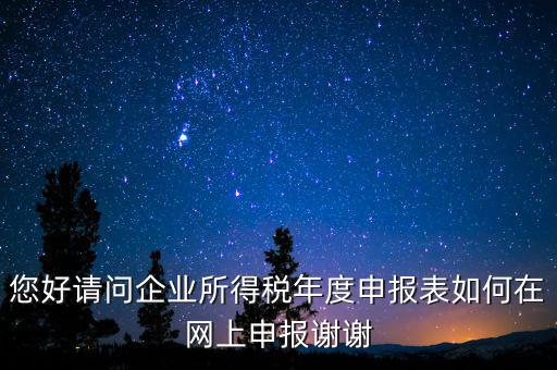 公司如何網(wǎng)絡(luò)申報表，新手請教企業(yè)所得稅年度納稅申報表在網(wǎng)上如何申報
