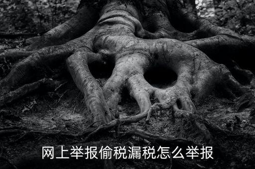 如何網上稅務舉報，網上舉報偷稅漏稅怎么舉報
