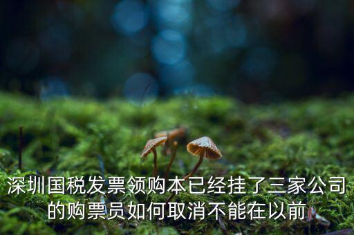 如何取消稅務(wù)局購(gòu)票人，國(guó)稅如何刪除購(gòu)票人
