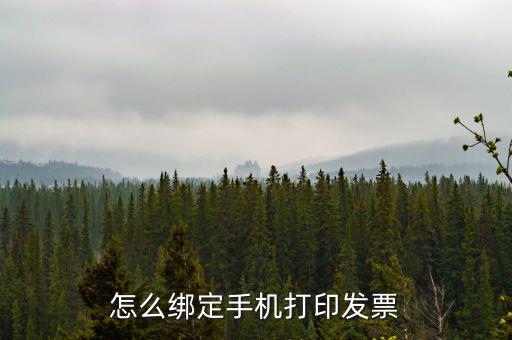 百旺電子發(fā)票如何綁定終端，尚未配備電子發(fā)票終端怎么處理