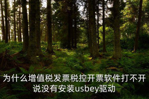 為什么增值稅發(fā)票稅控開票軟件打不開說(shuō)沒(méi)有安裝usbey驅(qū)動(dòng)