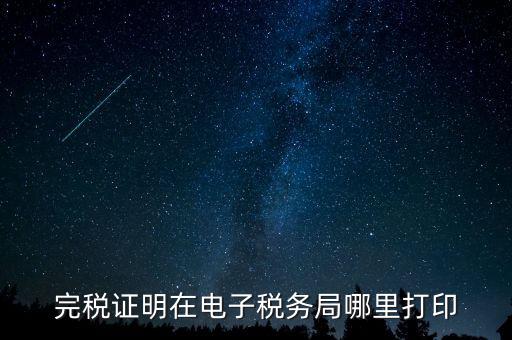 地稅的申報信息如何查詢打印，完稅證明在電子稅務(wù)局哪里打印