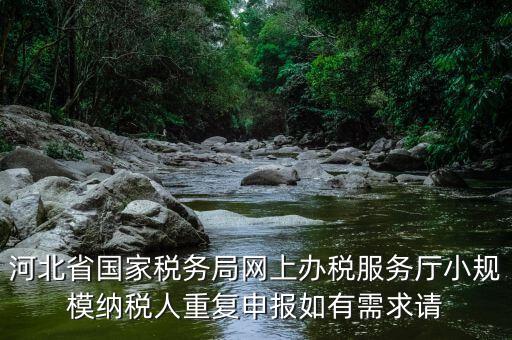 河北省國家稅務(wù)局網(wǎng)上辦稅服務(wù)廳小規(guī)模納稅人重復(fù)申報(bào)如有需求請(qǐng)