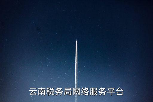 云南省網上稅務局如何下載，網上辦稅服務廳怎么下載