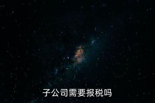 子公司如何申報納稅，控股子公司如何定稅
