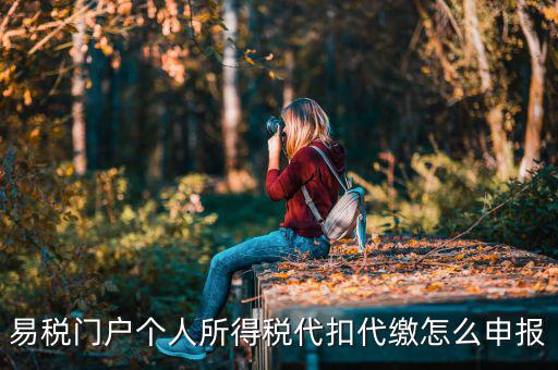 代扣個人所得稅如何申報(bào)，易稅門戶個人所得稅代扣代繳怎么申報(bào)