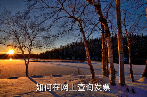 如何查詢網(wǎng)絡(luò)發(fā)票，怎樣從網(wǎng)上報(bào)稅系統(tǒng)查已開(kāi)的發(fā)票
