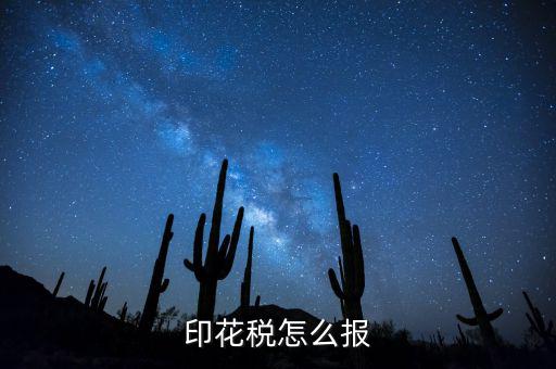 如何國稅申報印花稅，印花稅怎么報