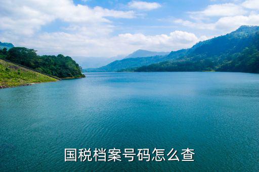 如何查地稅檔案，國稅檔案號碼怎么查