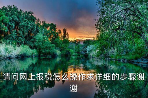 如何指引納稅人使用網(wǎng)上稅務(wù)局，請(qǐng)問網(wǎng)上報(bào)稅怎么操作求詳細(xì)的步驟謝謝