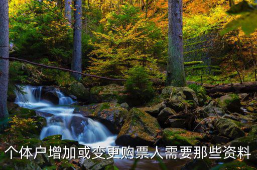 如何增加辦稅人員，請(qǐng)問怎樣才能增加一個(gè)辦稅人需要什么資料