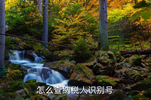 如何查詢個(gè)人納稅人識(shí)別號(hào)，納稅人識(shí)別號(hào)查詢